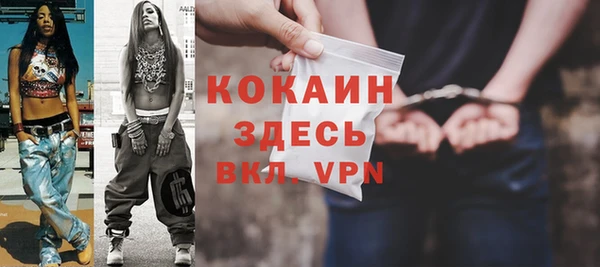 гидра Арсеньев
