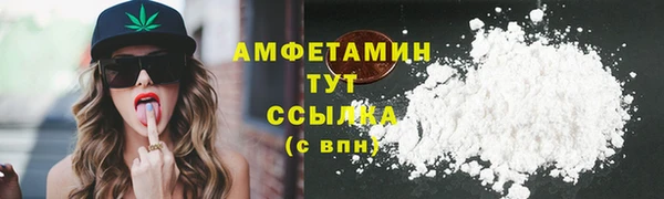 гидра Арсеньев