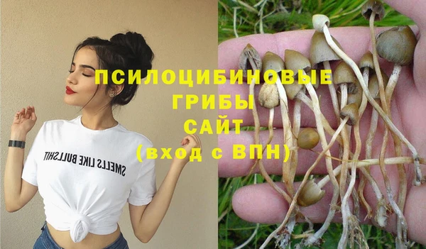 синтетический гашиш Шарыпово