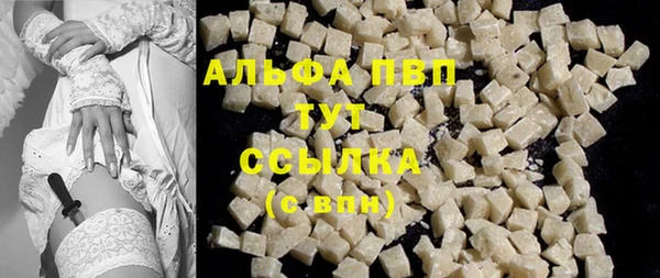 гидра Арсеньев