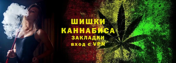 гидра Арсеньев