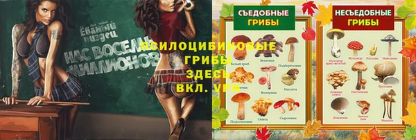 крисы Армянск
