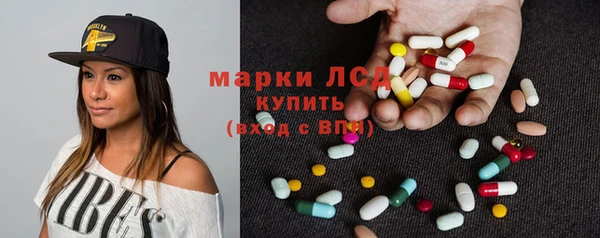 гидра Арсеньев