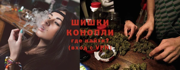 гидра Арсеньев