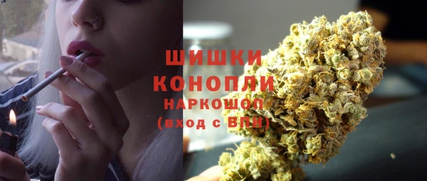 крисы Армянск